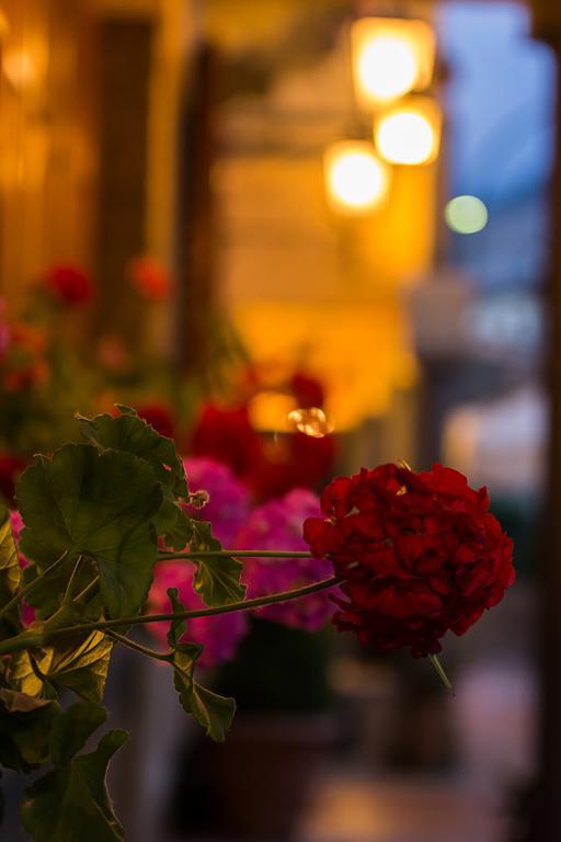 Hotel La Rosa Ronta Εξωτερικό φωτογραφία